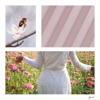 The first day of spring is officially here!

We would like to invite you to celebrate this with us with our collections. Available in a variety of colours, fabrics and uses. 

Take our pleated collection for example, as we are moving towards the sun rising sooner, the requests for blackout fabrics are increasing. With the use of blackout fabrics you can be sure that a good nights rest is secured. 

And as spring is starting outside, why not bring the vibrant colours inside as well! 

Check out the link in our profile for more information! 

#lienesch #fabulousfabrics #meaningfulcollection #spring #neutrals #pleated #blinds