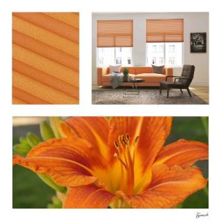 Happy King's Day! 👑

#lienesch #fabulousfabrics #pleated #blinds